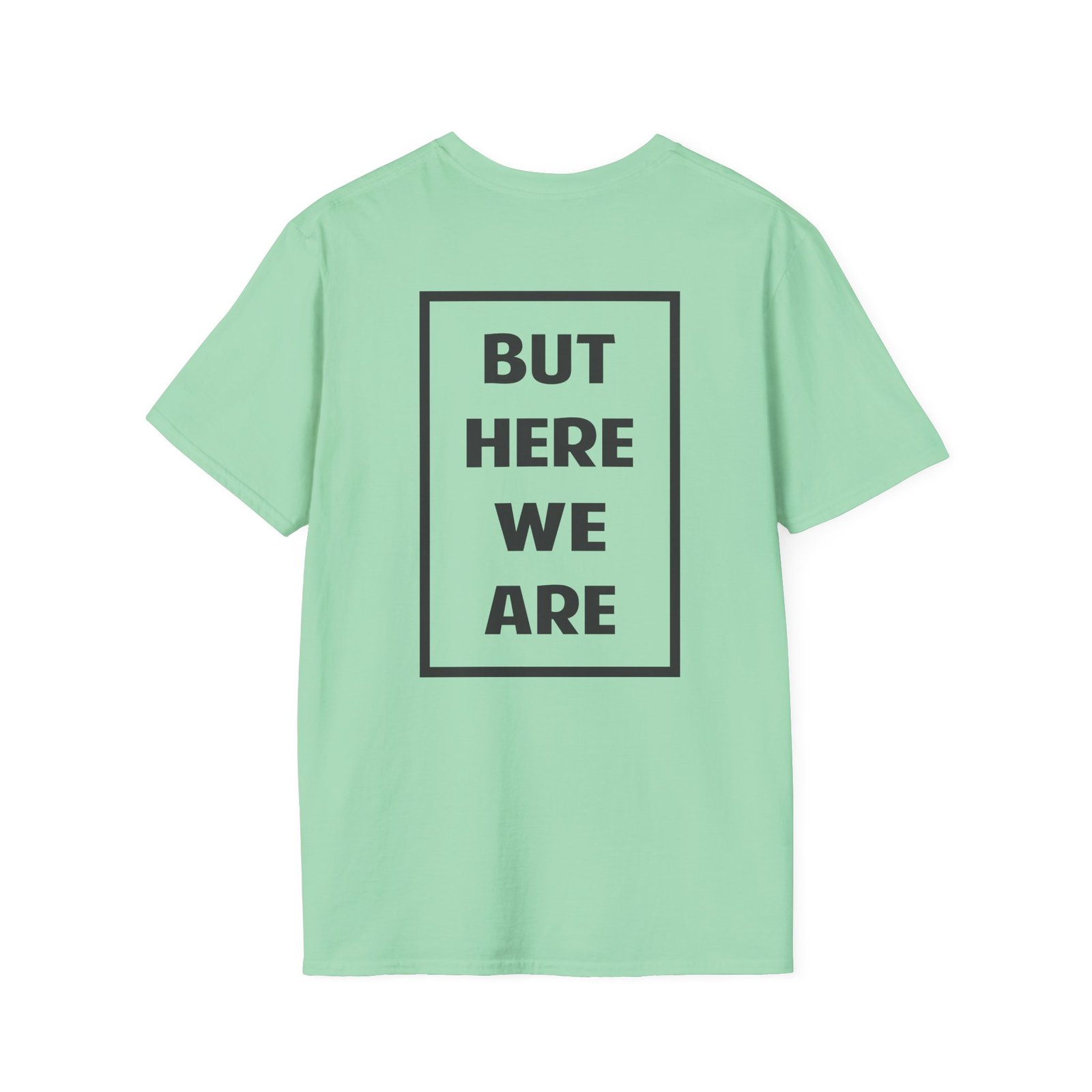 Foo Fighters but Here We Are Unisex Softstyle T-Shirt