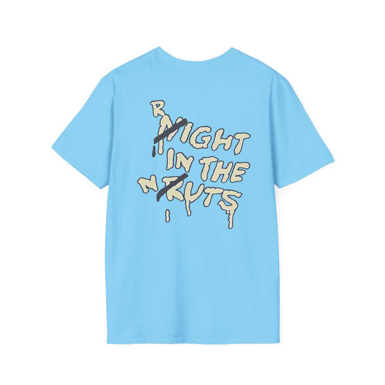 A Right in the Unisex Softstyle T-Shirt
