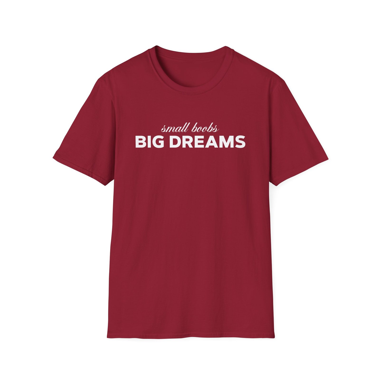 Steezy Kane Big Dreams Unisex Softstyle T-Shirt