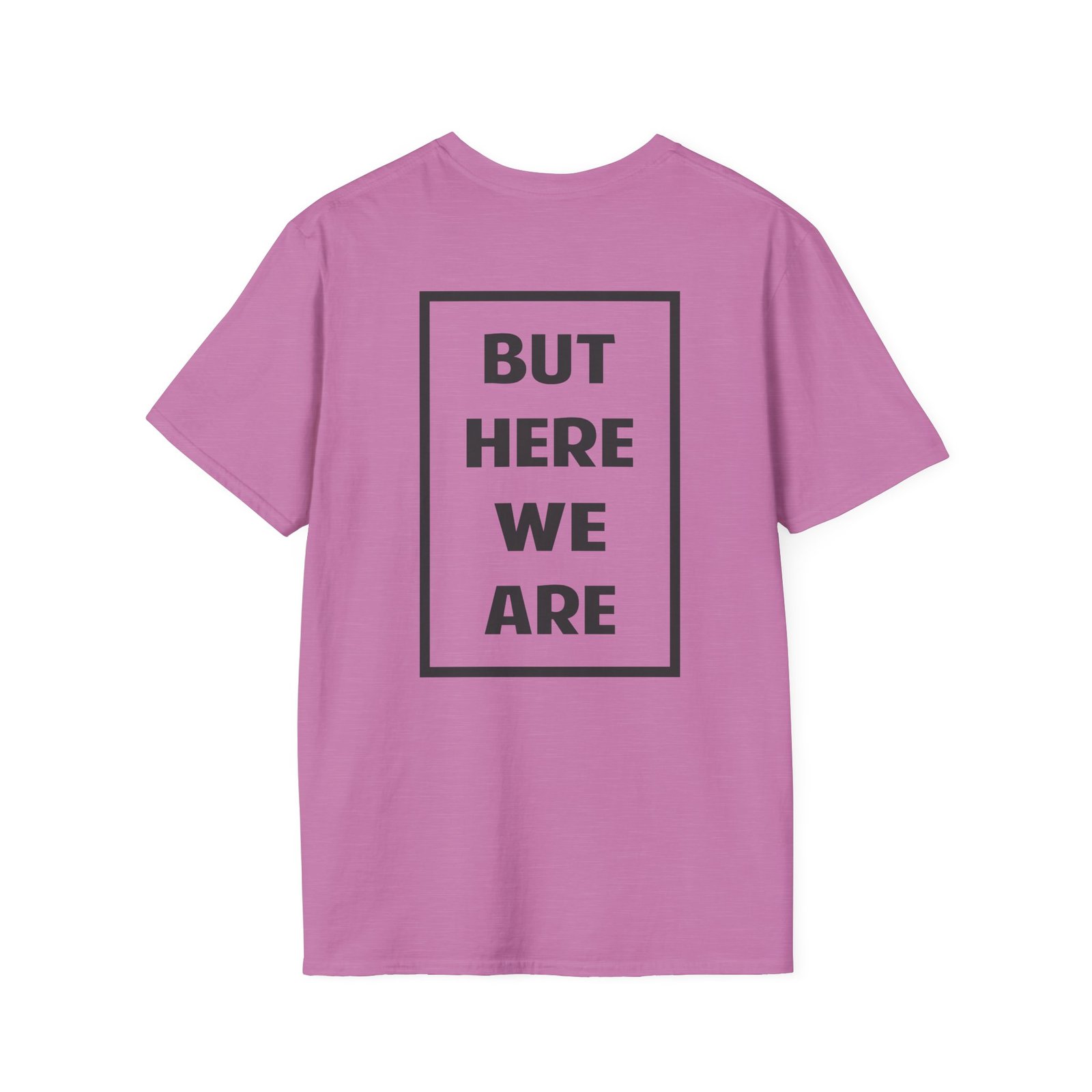 Foo Fighters but Here We Are Unisex Softstyle T-Shirt
