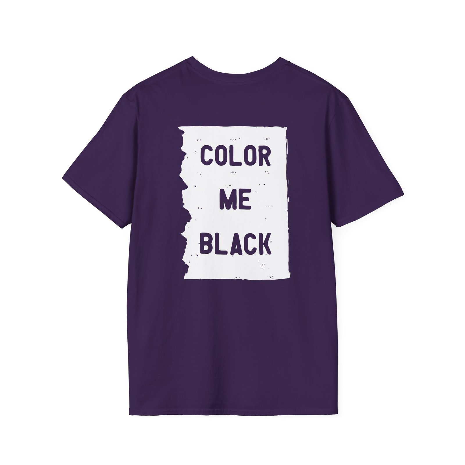 Brian Fallon My Name Is The Night Unisex Softstyle T-Shirt