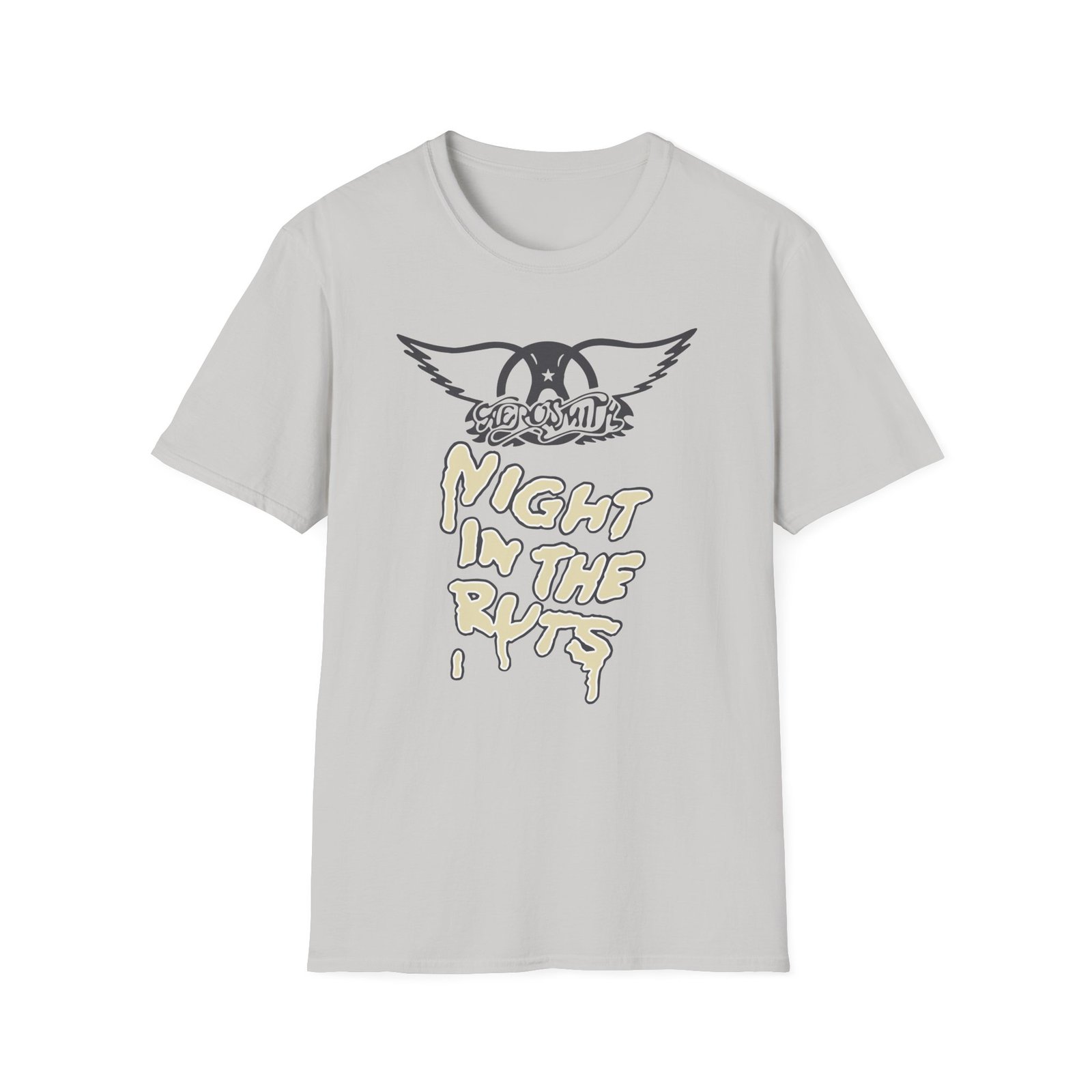 A Right in the Unisex Softstyle T-Shirt