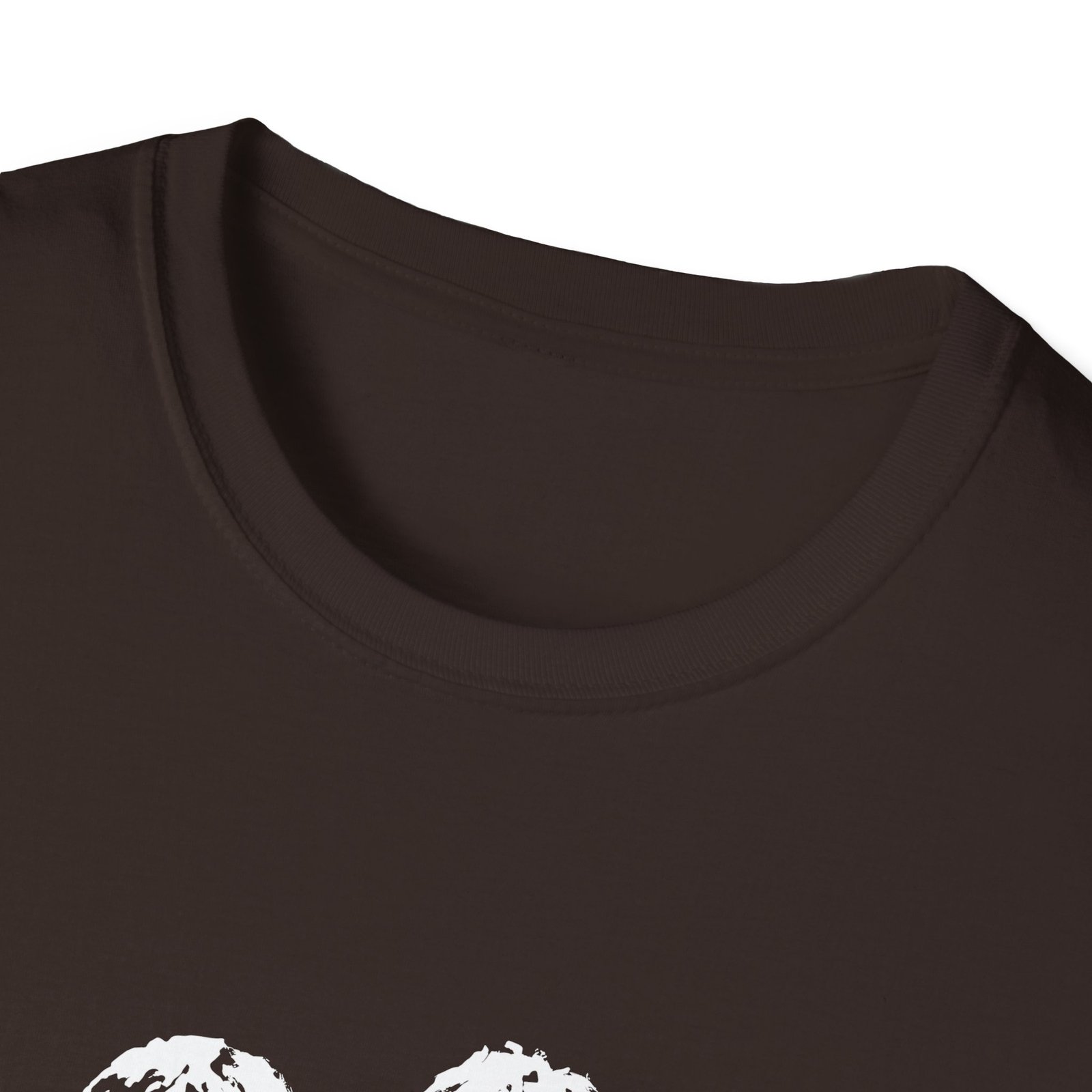 Oasis Photo Stencil Unisex Softstyle T-Shirt