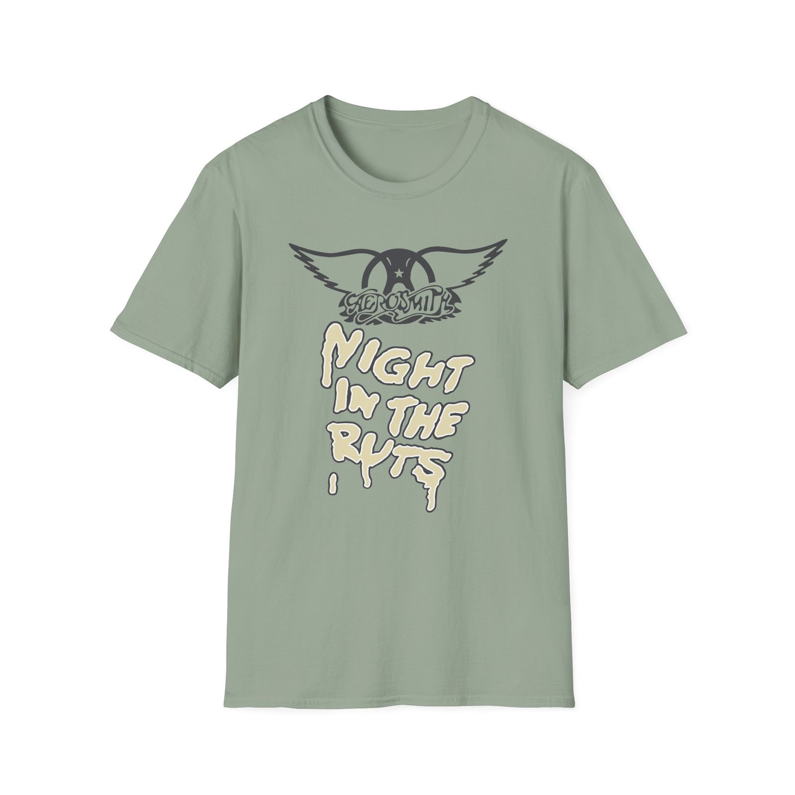 A Right in the Unisex Softstyle T-Shirt
