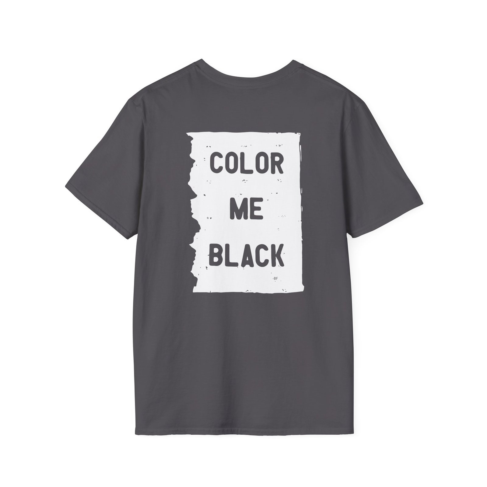 Brian Fallon My Name Is The Night Unisex Softstyle T-Shirt