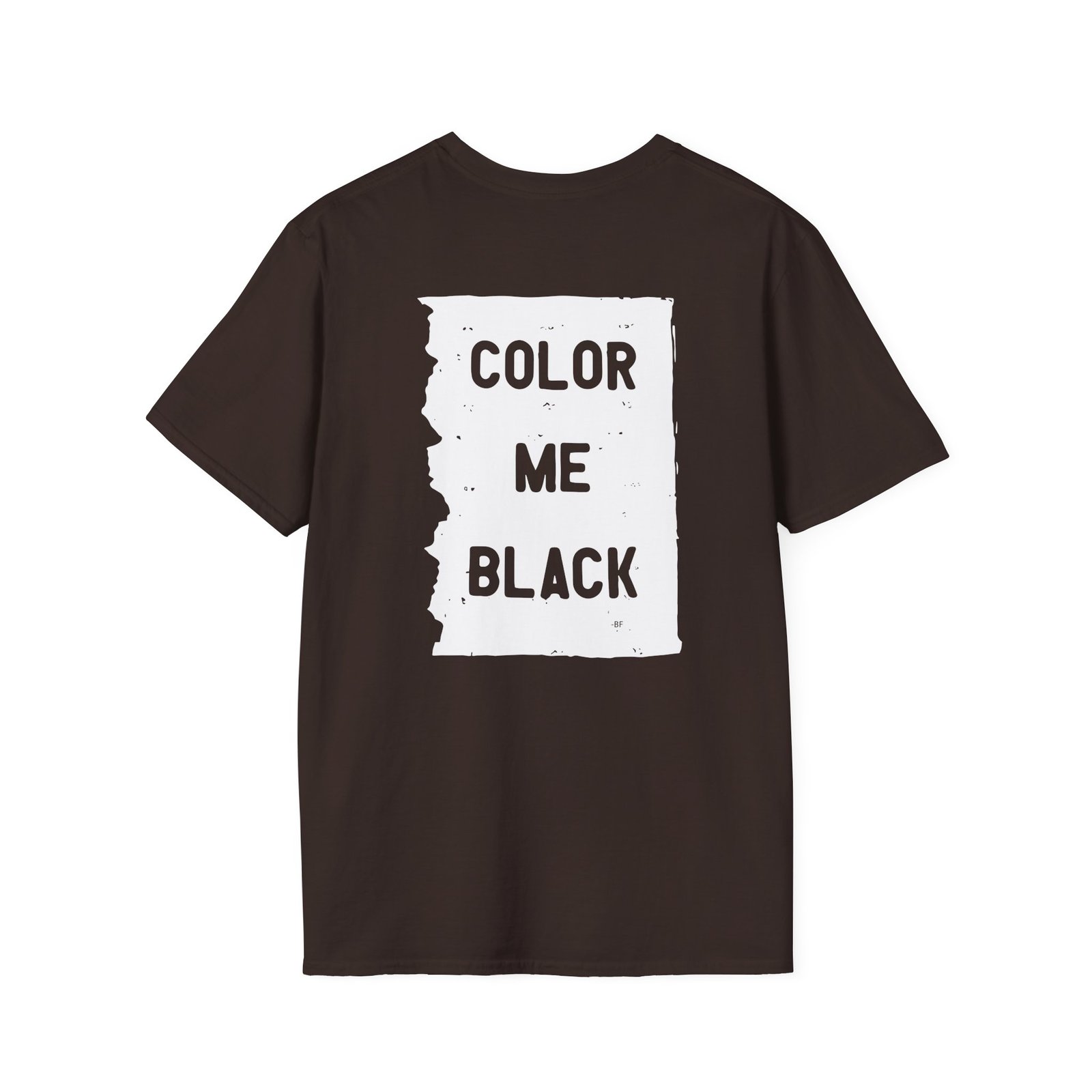 Brian Fallon My Name Is The Night Unisex Softstyle T-Shirt