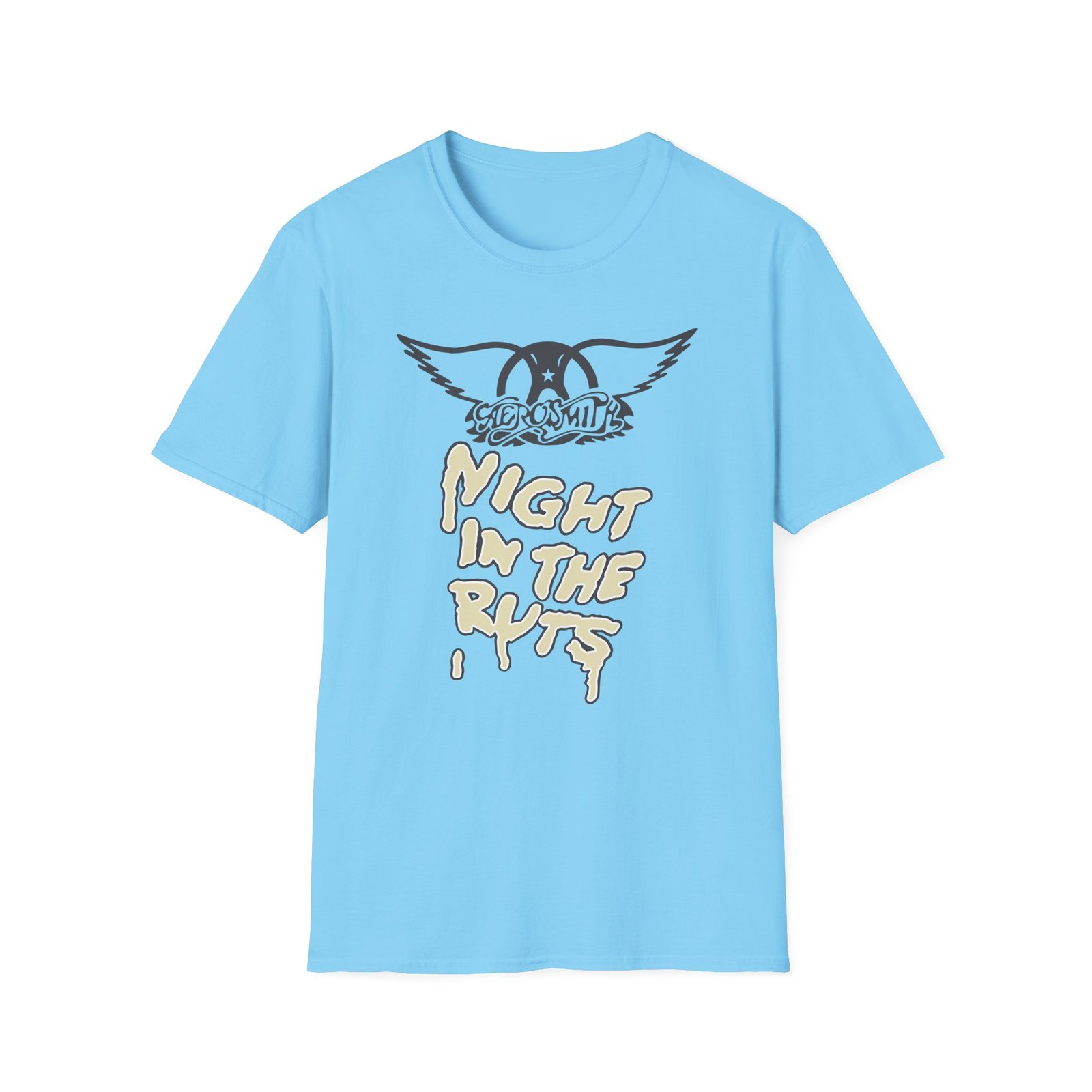 A Right in the Unisex Softstyle T-Shirt