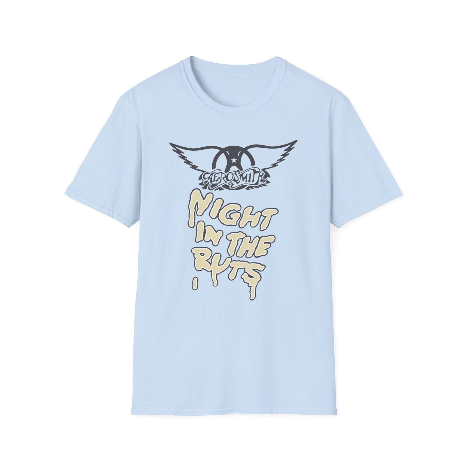 A Right in the Unisex Softstyle T-Shirt