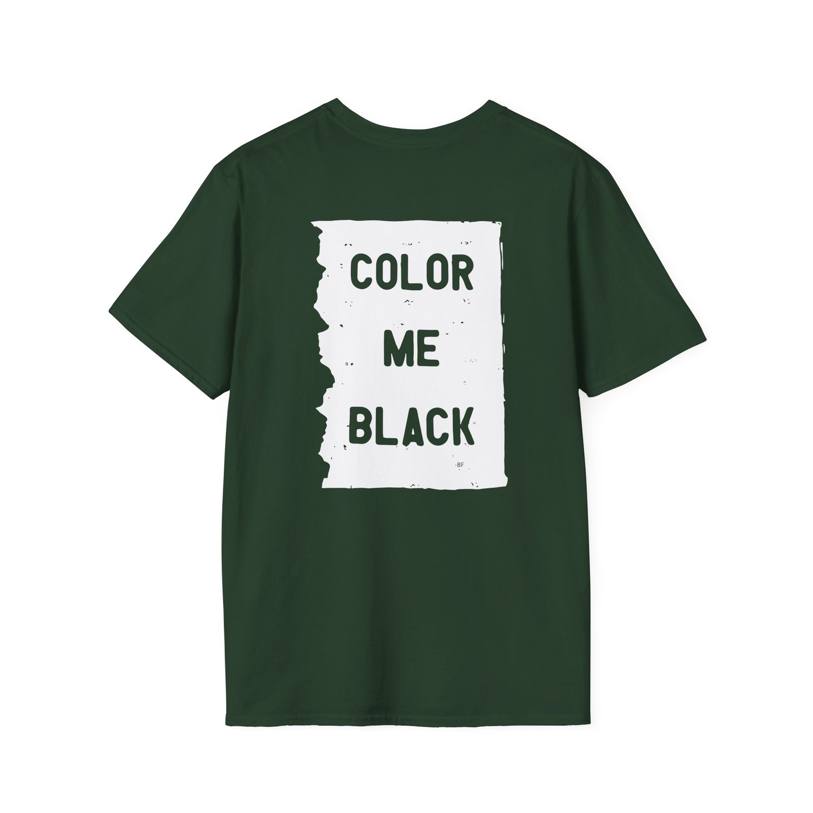 Brian Fallon My Name Is The Night Unisex Softstyle T-Shirt