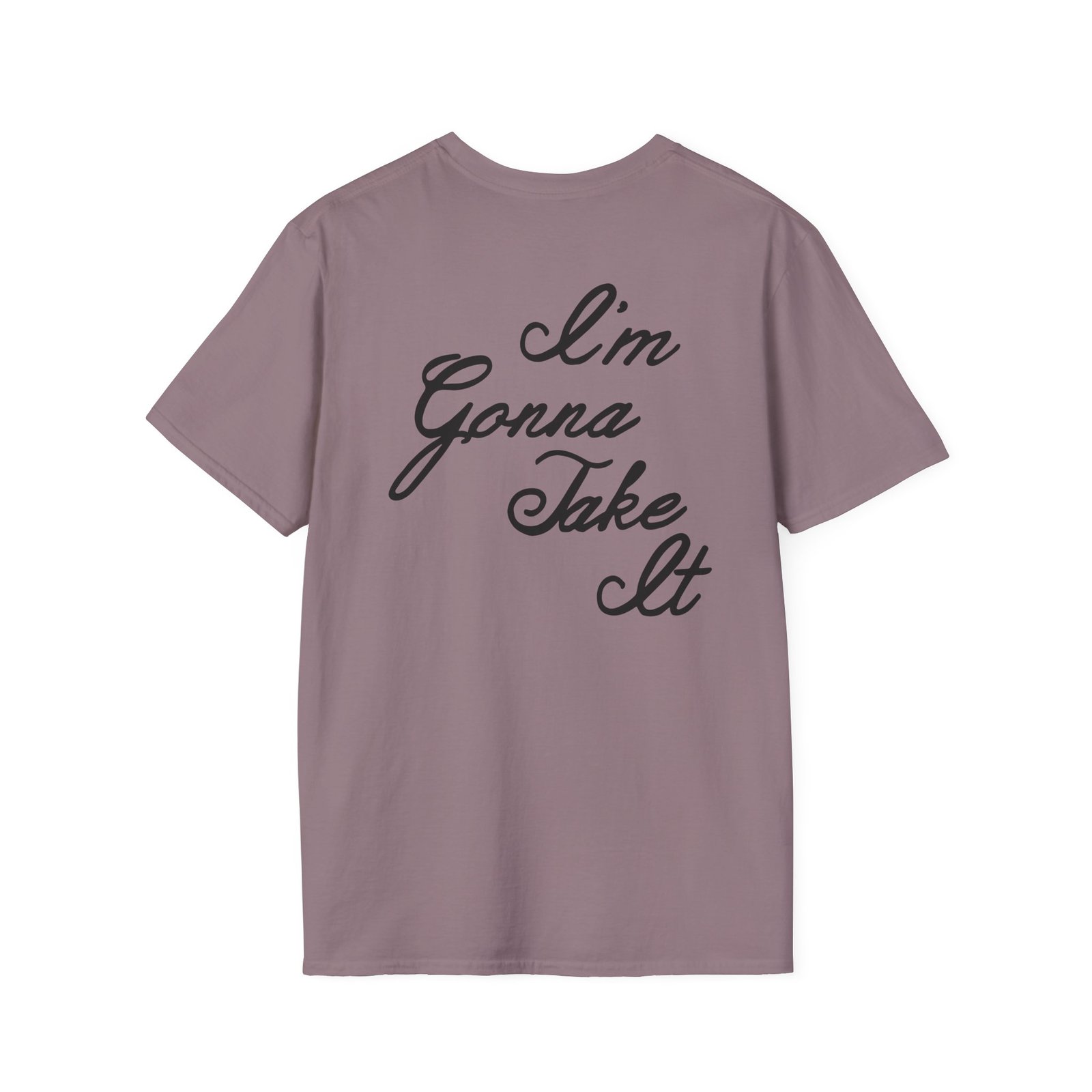 Gracie Abrams Risk Unisex Softstyle T-Shirt